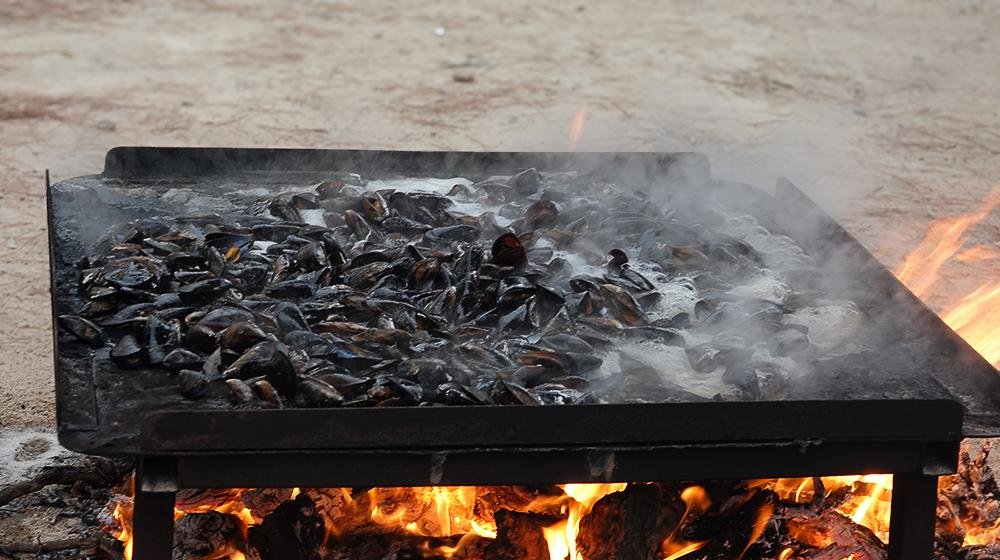 Brasucade de moules au feu de bois à Mèze