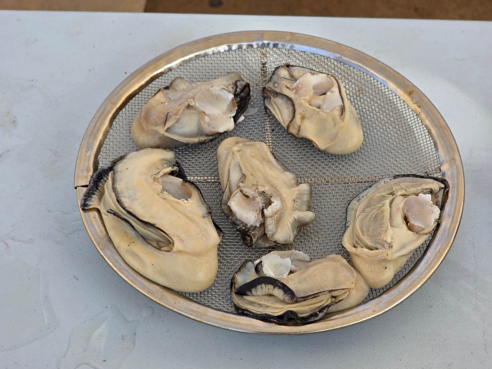 Huîtres préparées pour le Mondial de l’Huître à Mèze