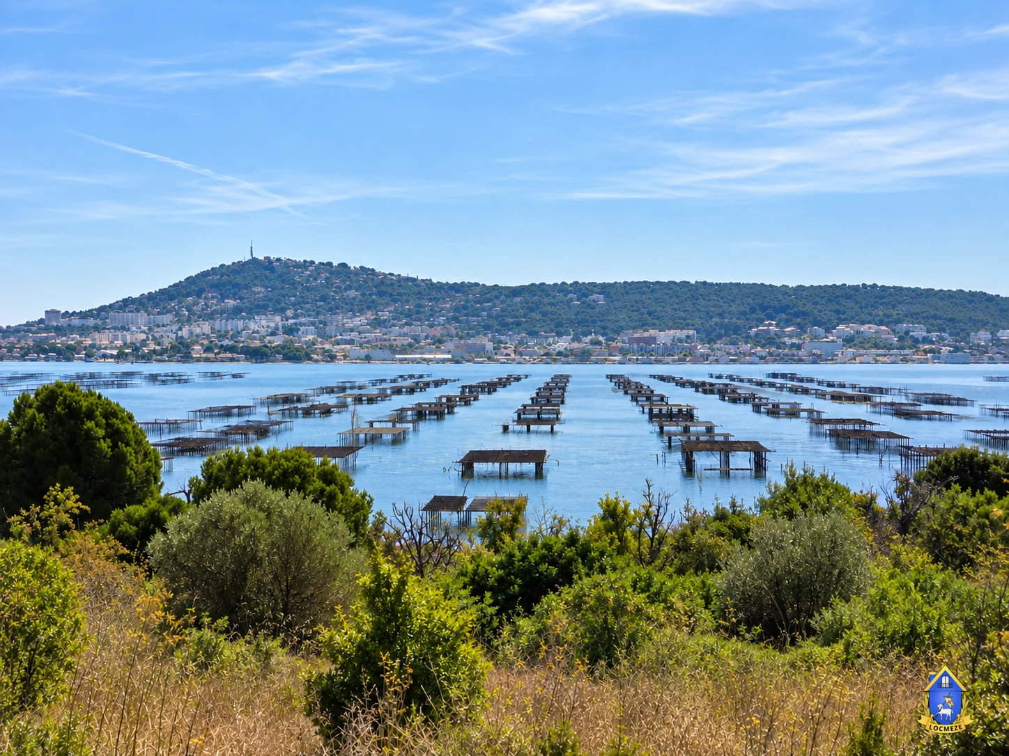 Oyster farms on the Thau Lagoon with Sète in the background