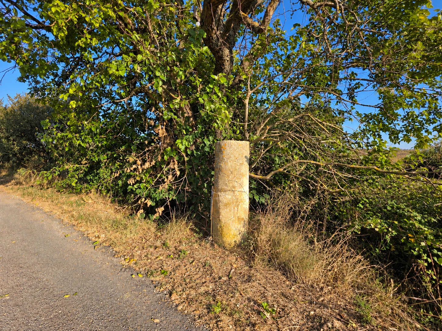 Borne milliaire romaine au bord de la Via Domitia près de Mèze