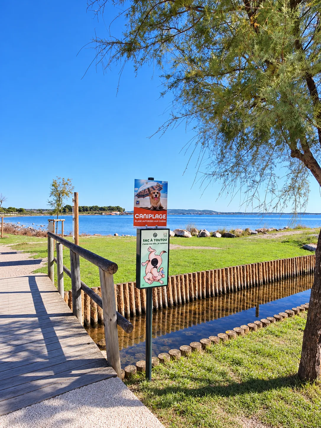 Dog-friendly beach in Mèze on the Thau Lagoon
