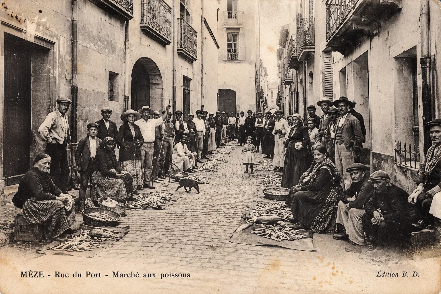 Old postcard of Rue du Port in Mèze with the fish market