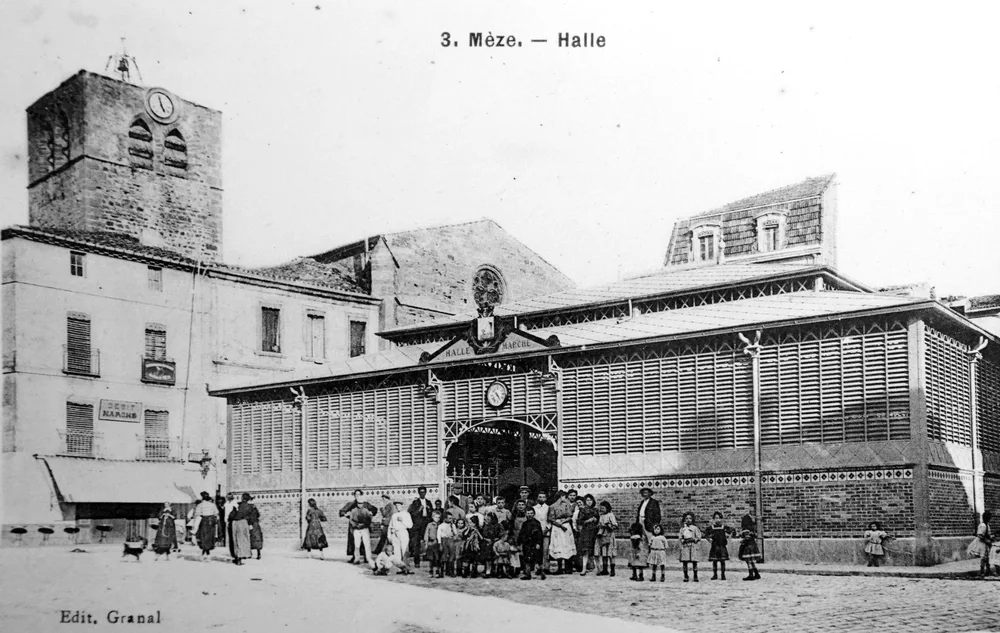 Ancienne photographie des Halles de Mèze au début du XXe siècle