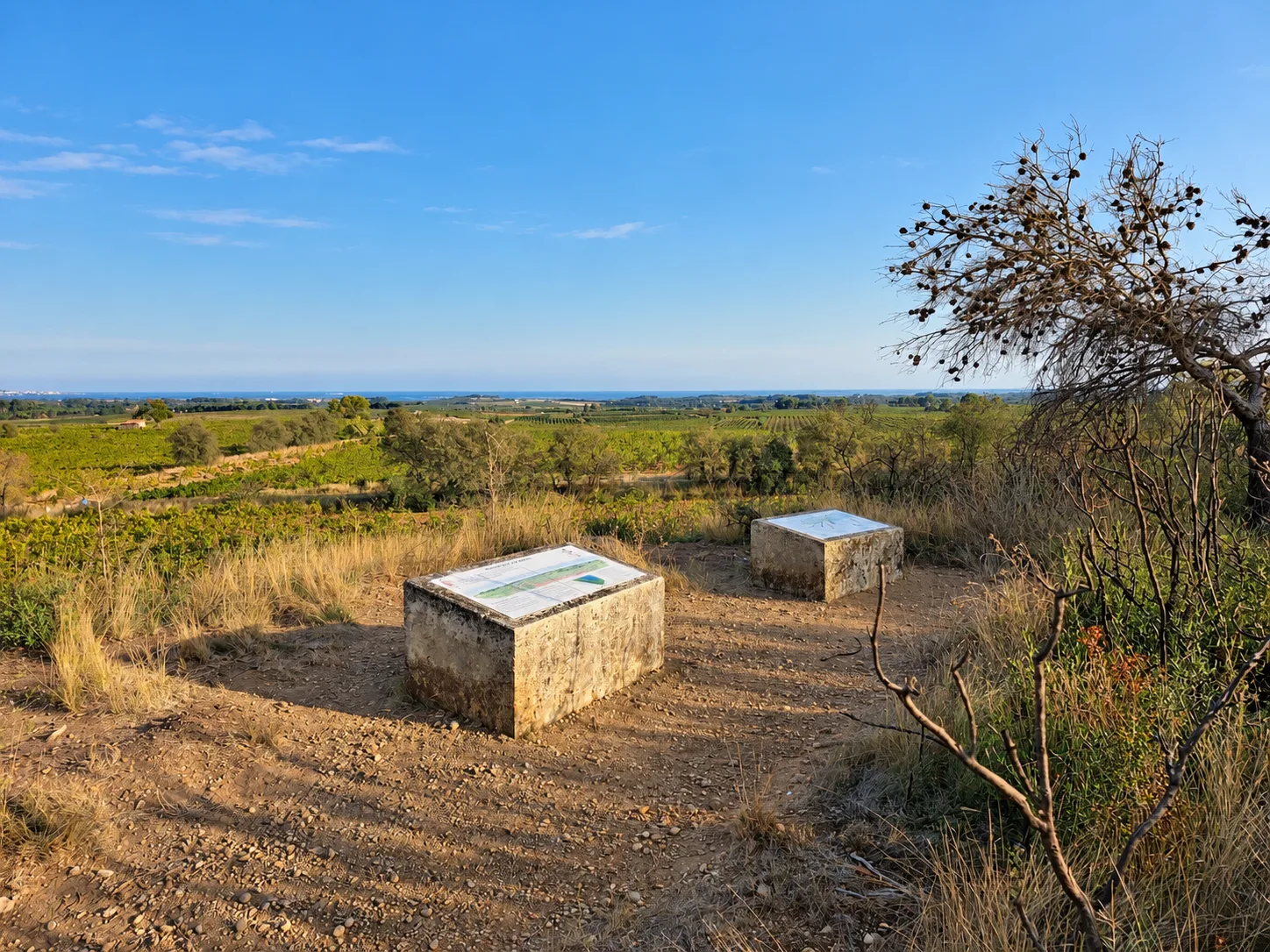 Tables d’interprétation de la Via Domitia avec vue sur les vignes près de Mèze