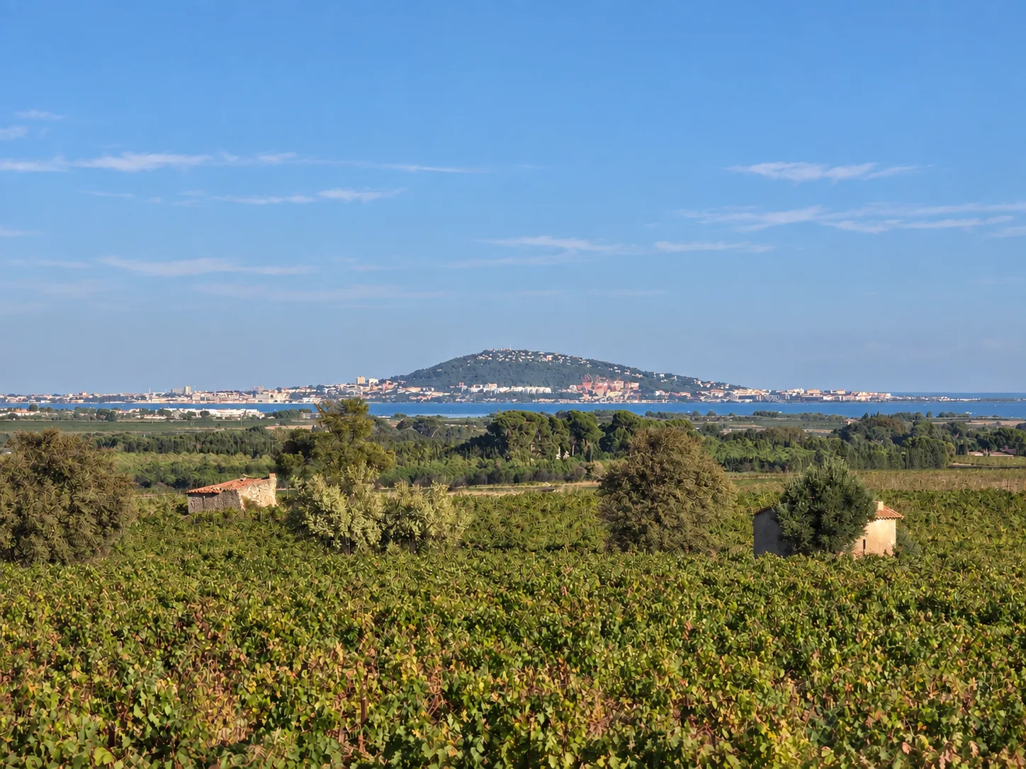 Vue sur les vignes, l’étang de Thau et le mont Saint-Clair depuis la Via Domitia près de Mèze